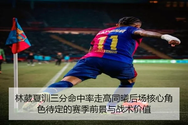 林葳夏训三分命中率走高同曦后场核心角色待定的赛季前景与战术价值
